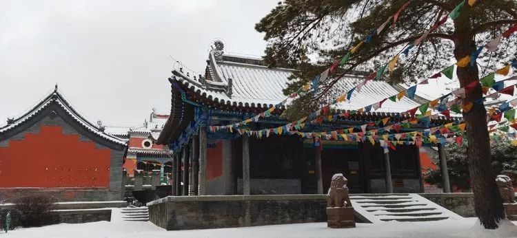 雪中秘境——閒遊庫倫三大寺