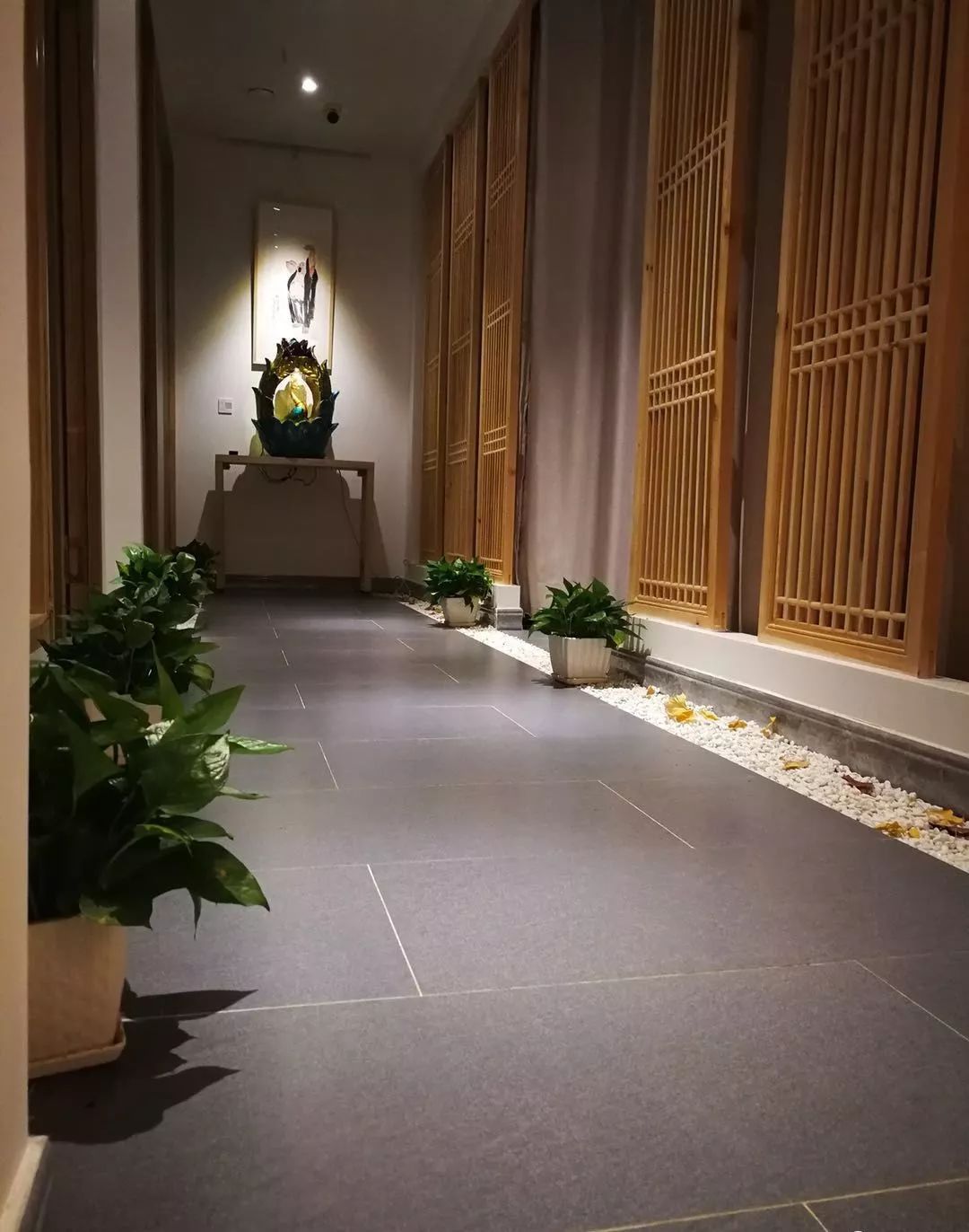 禅在没年的什么时候养殖 禅是什么季节出来的