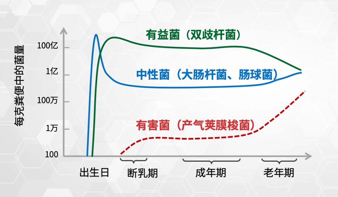 肠道不好,50种疾病接踵而来!变丑只是第一步