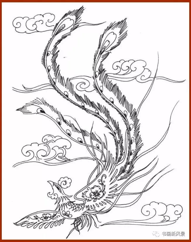 一组优美的凤凰白描线稿