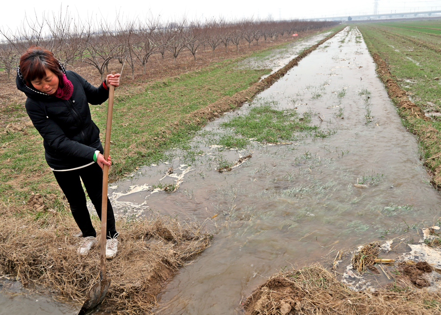 陕西大荔县:抗旱冬灌动起来 _灌溉