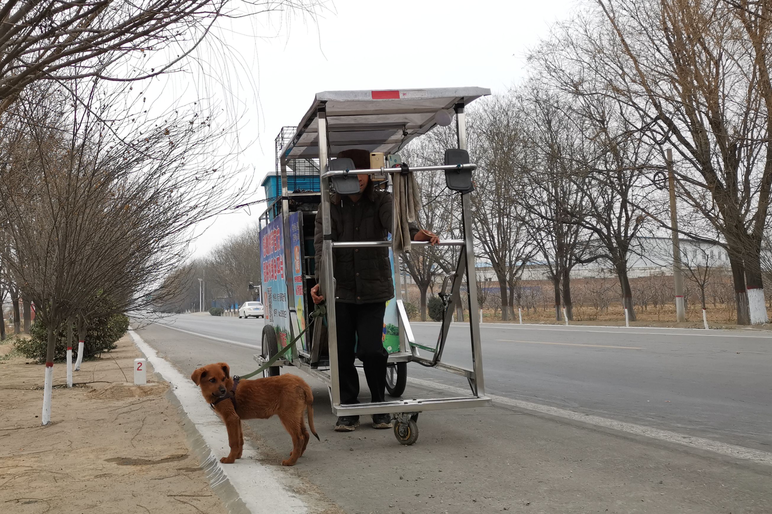 原创河南小伙徒步游全国,2个月小狗拉车252天,看它成啥样