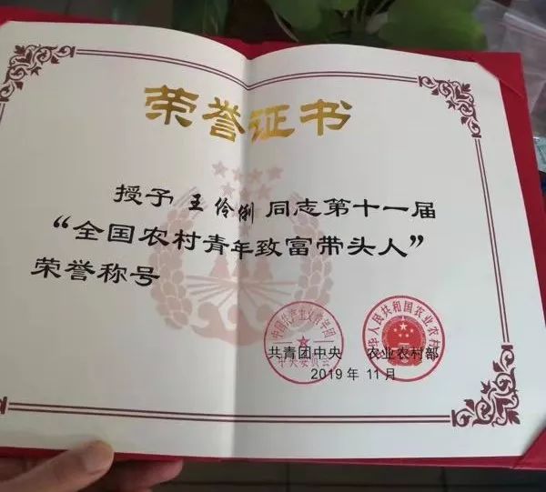 崇州巾帼多奇志扎根乡村共振兴女农业ceo王伶俐获全国农村青年带头人