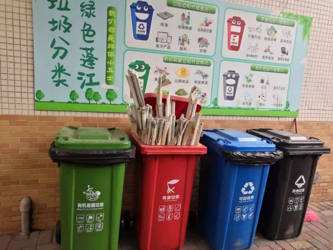 环保教育从娃娃抓起我市4所学校幼儿园入选省级校园生活垃圾分类教育