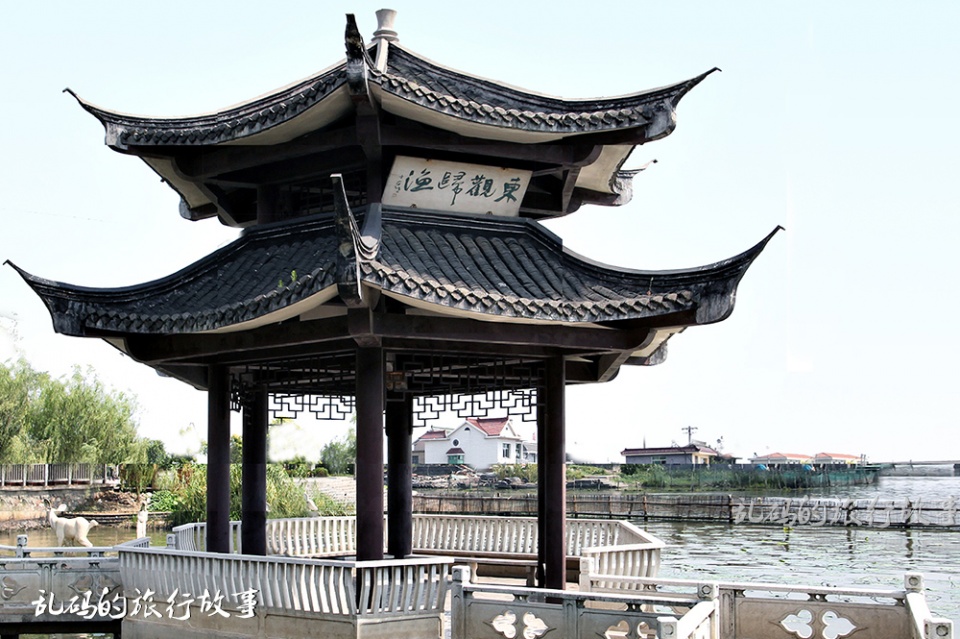 江苏最低调古镇栽种世界最大山茶一脚跨三市被誉苏中周庄