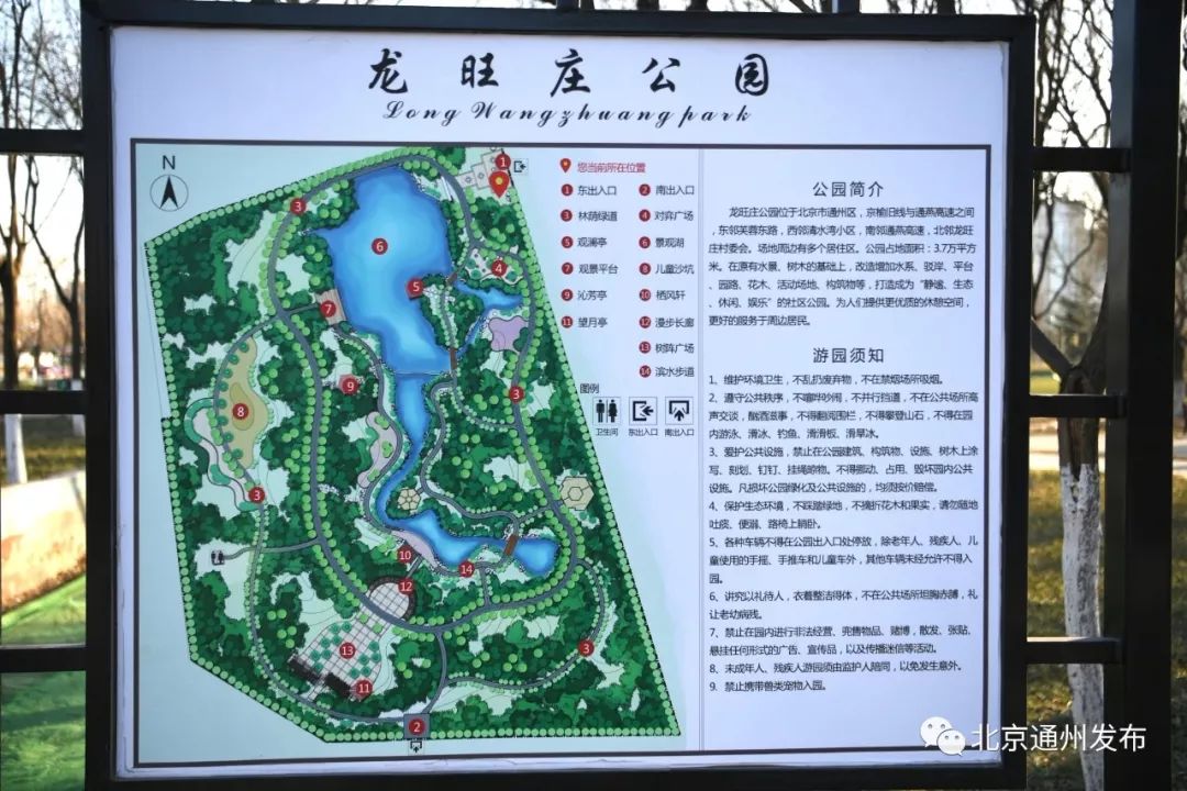 公园的  西南处是运动活力区