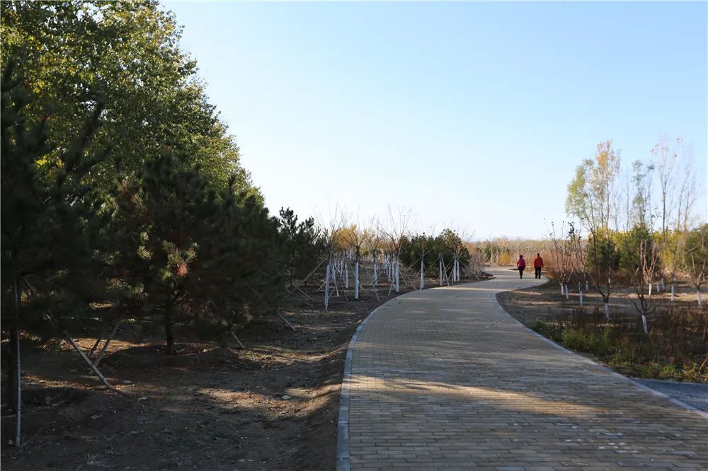 昌平小汤山建成7万平方米郊野公园