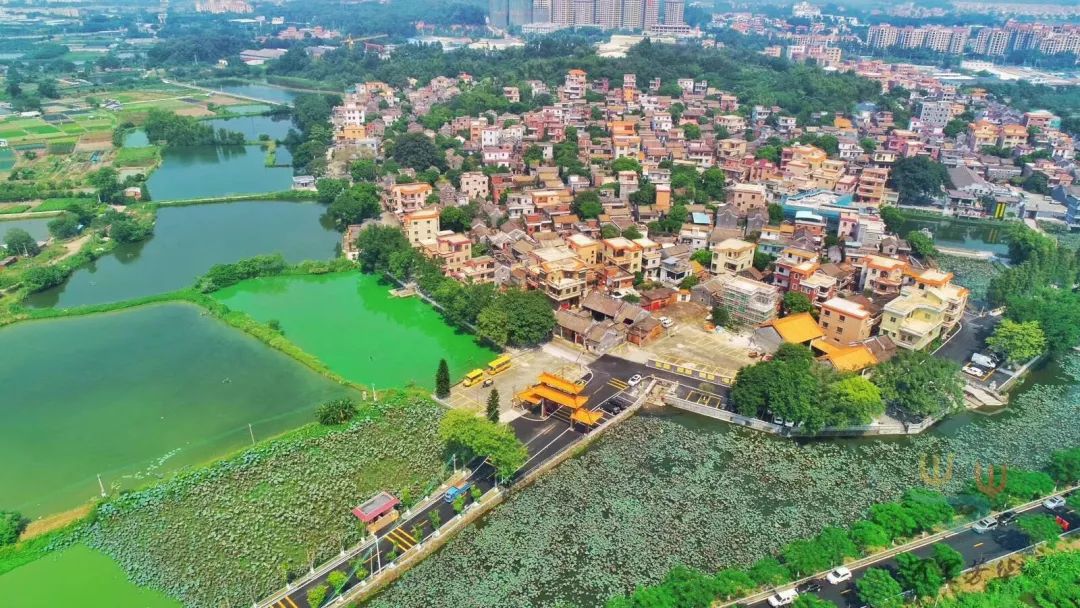 丹灶镇领导干部收听收看南海区城乡人居环境综合提升工程推进会