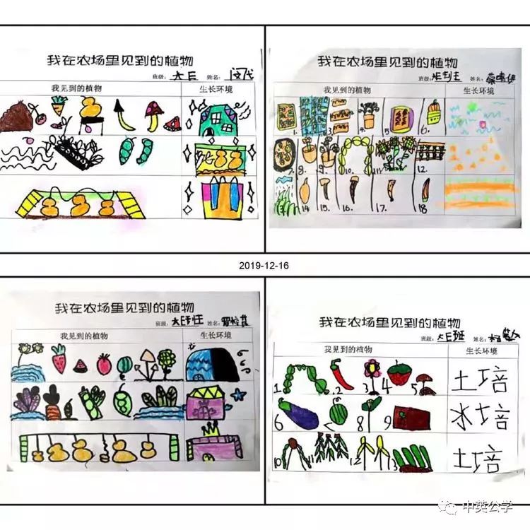 孩子们统计农场遇见的植物孩子们回想农场的趣事老师记录孩子的语言