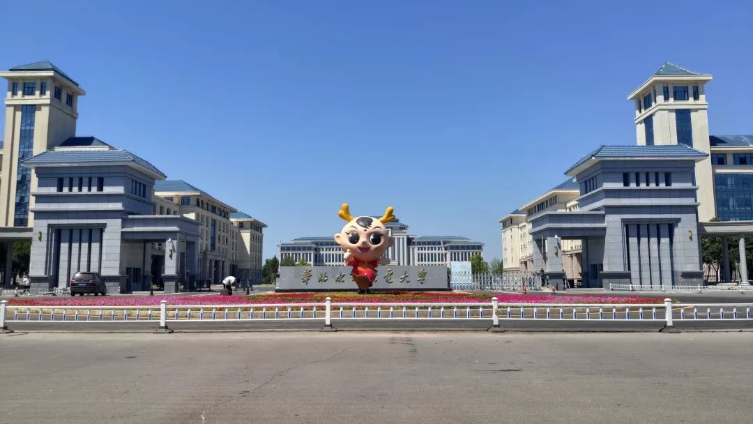 与华水相识的100天