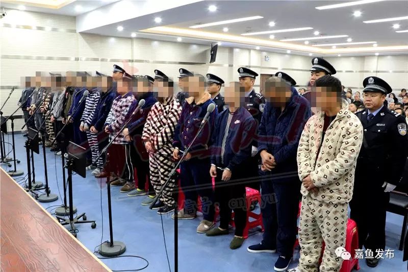 这18名黑社会犯罪团伙终落法网_嘉鱼