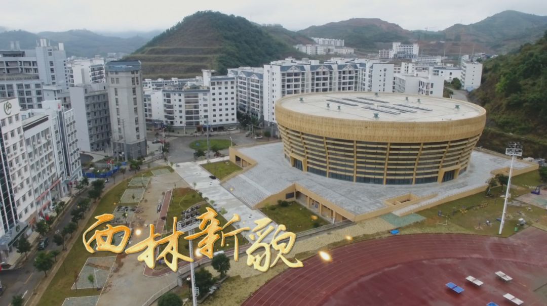 西林县第九届沙糖桔产业,茶叶产业文化展示活动周即将开幕!