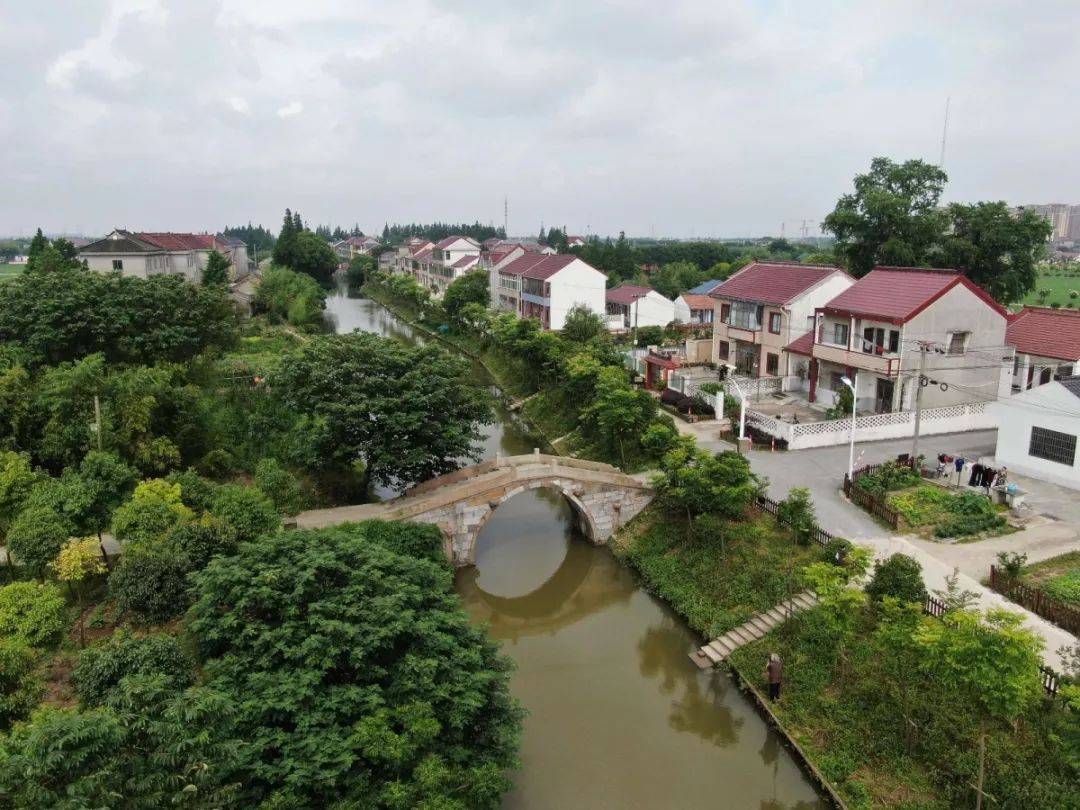 文明之城美在奉贤十大最美系列创评之最美乡村