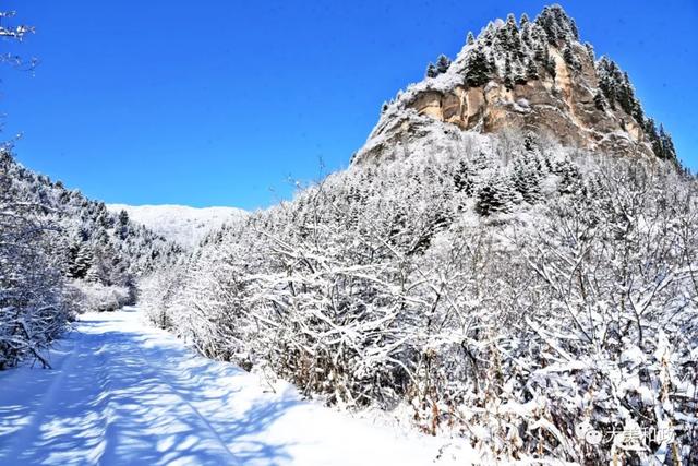 北国雪松鸣岩醉美