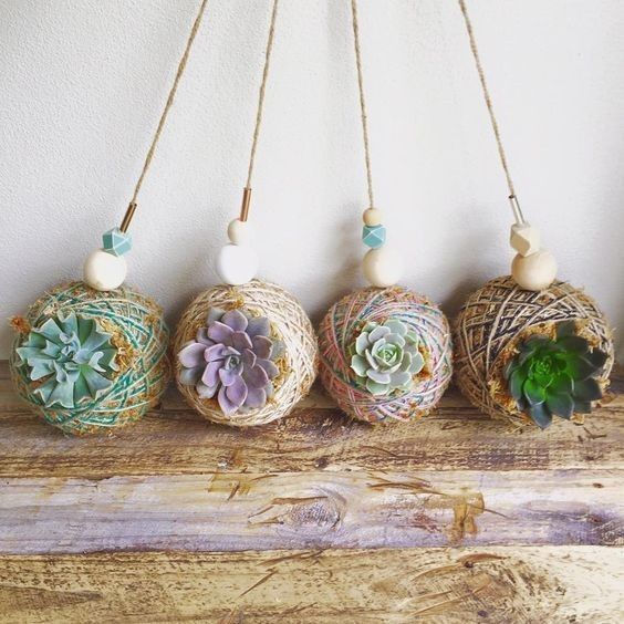 一根毛线竟然还能装多肉这种花盆你一定没见过