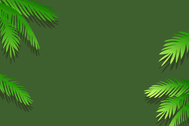 639_426gif 动态图 动图