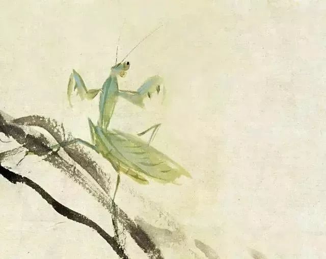 萧朗画螳螂,小写意,大造化!