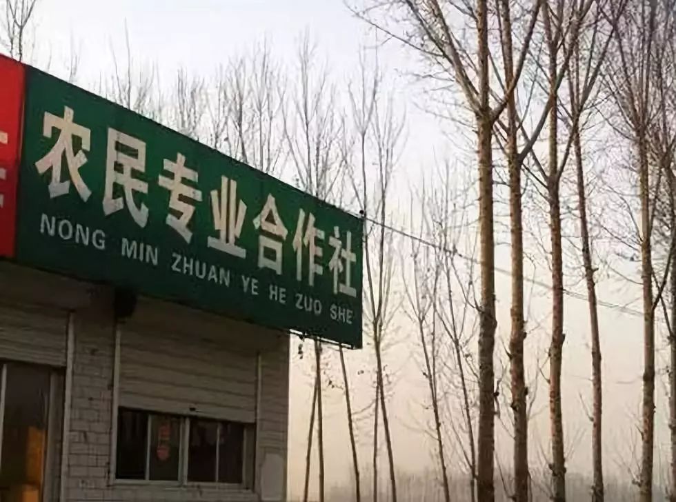 中央财政补贴!还有5大好消息