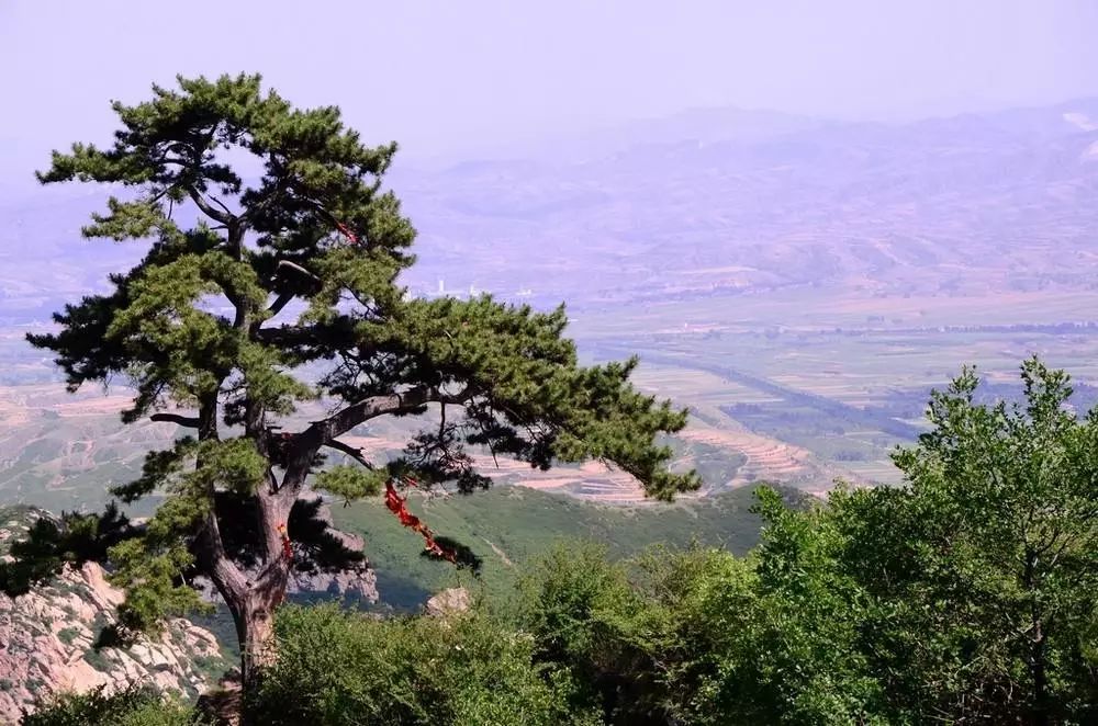 岚县独一无二的土豆盛宴土豆哨子浇莜面炒黑片子抄不烂子油焖土豆捣