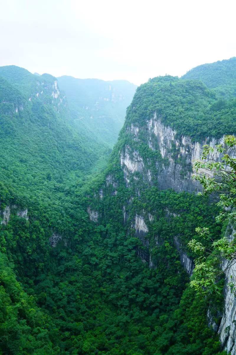 平塘天坑規模最龐大,天坑地貌最完整,天坑深度最凹陷深邃.