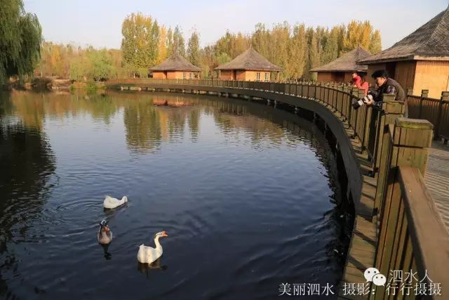 aaaa—泗水萬紫千紅生態養生旅遊度假區