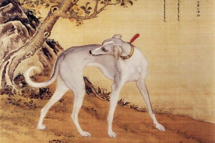 十犬十美——赏郎世宁《十骏犬图》_动物