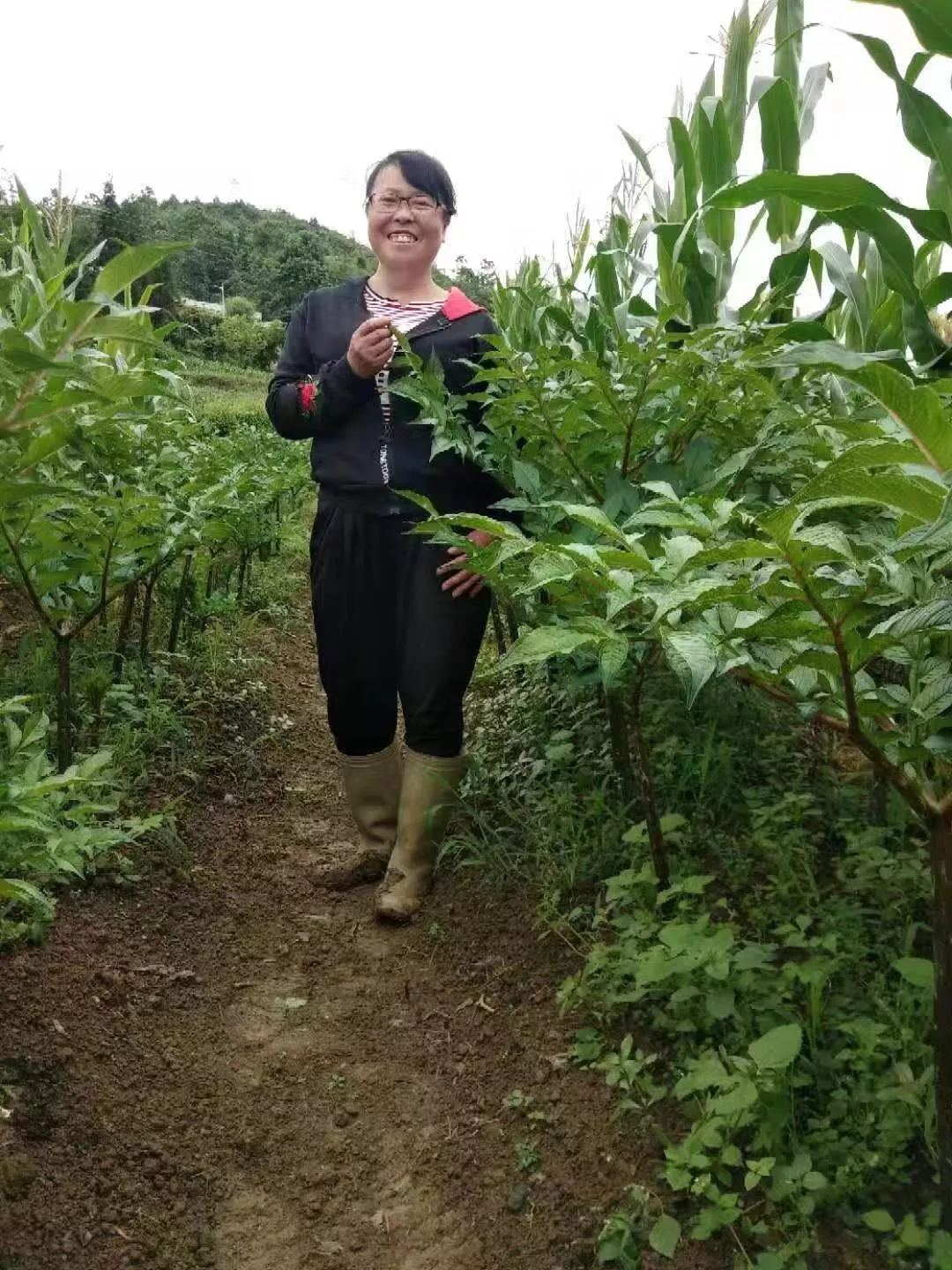 金融助农信贷资金雪中送炭巾帼创业否极泰来