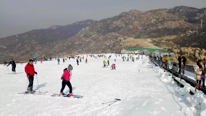 棗莊冬日哪裡耍蓮青山滑雪場帶你玩轉速度與激情