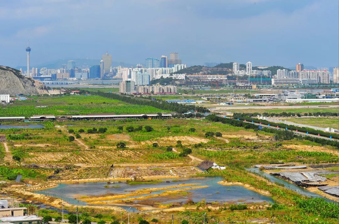 自贸区建设组图十年岁月横琴巨变