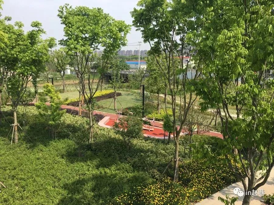 綠容資訊丨青浦新增了這4座城市公園!看看有你家附近的嗎?