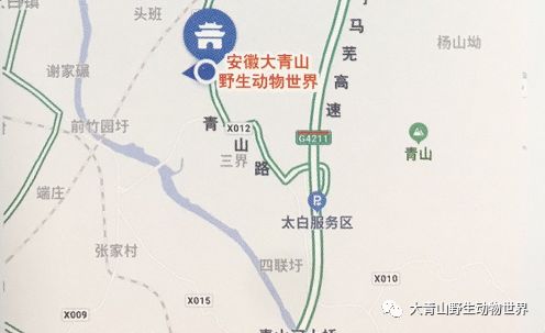 大蜀山野生动物园路线图片