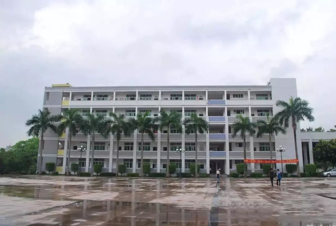青春记忆崇雅实验学校