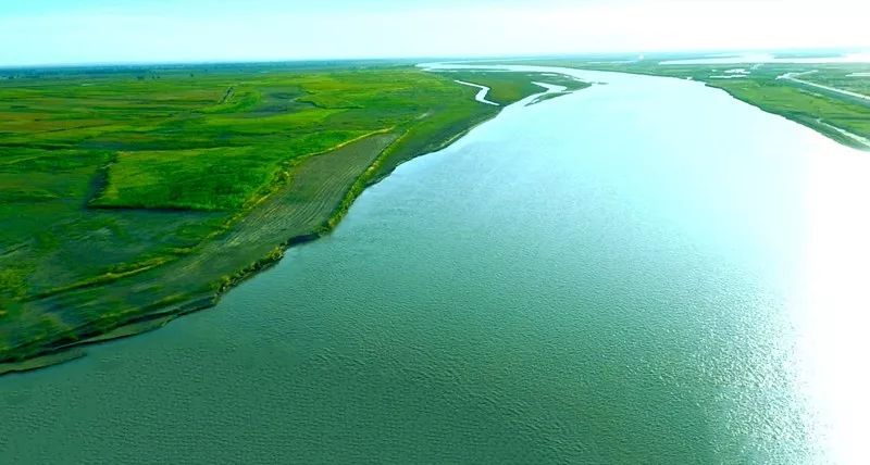 沐浴着冬日暖阳,黄河堤岸旁的草木早已泛黄,在蔚蓝天空下,黄河水日夜
