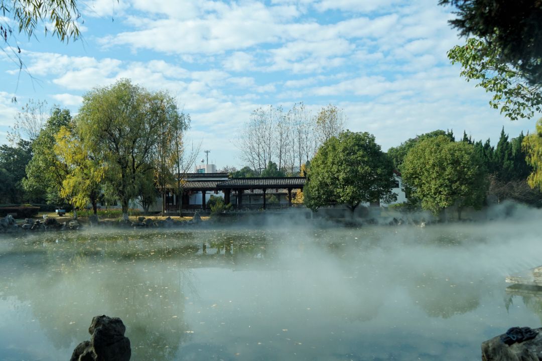 永康龙川公园现 雾的森林 仿佛置身 仙界 中 快来打卡 永康市