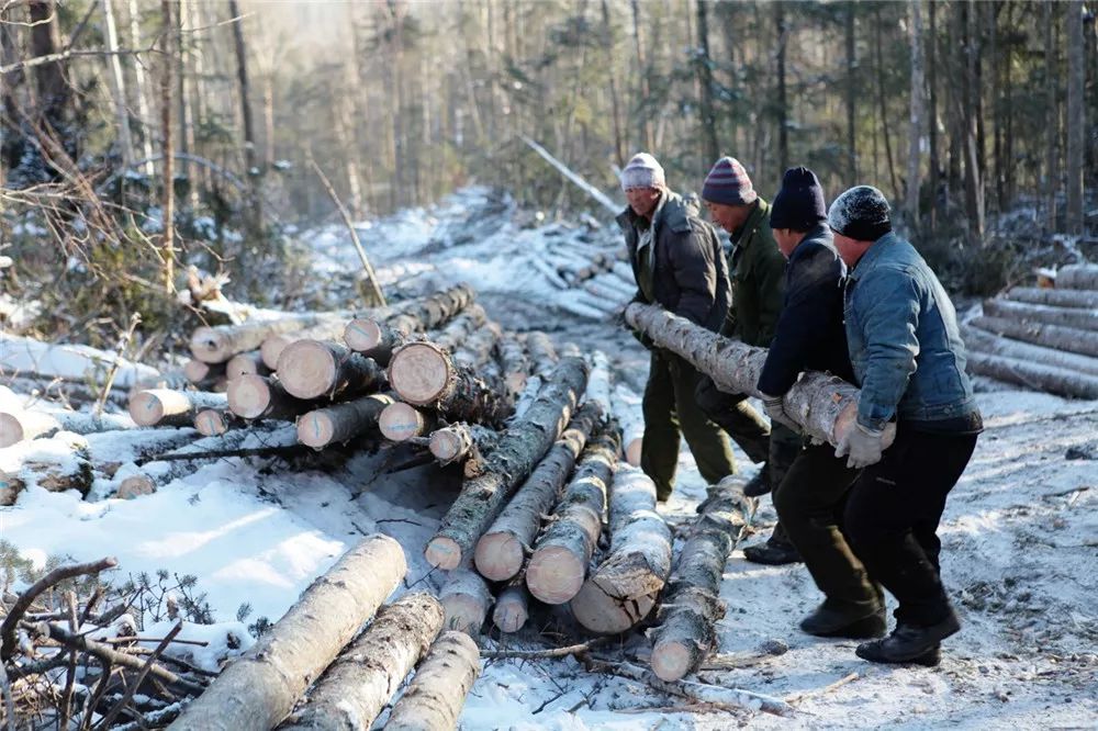 纪实影像杨勇摄影作品东北伐木工供大家欣赏分析