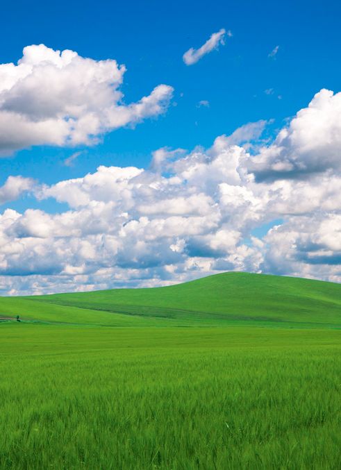 超好听的一首蒙语版锡林郭勒大草原美醉了