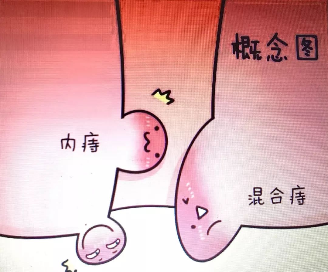 菊花的友情提醒吃爱心红枣切忌囫囵吞枣