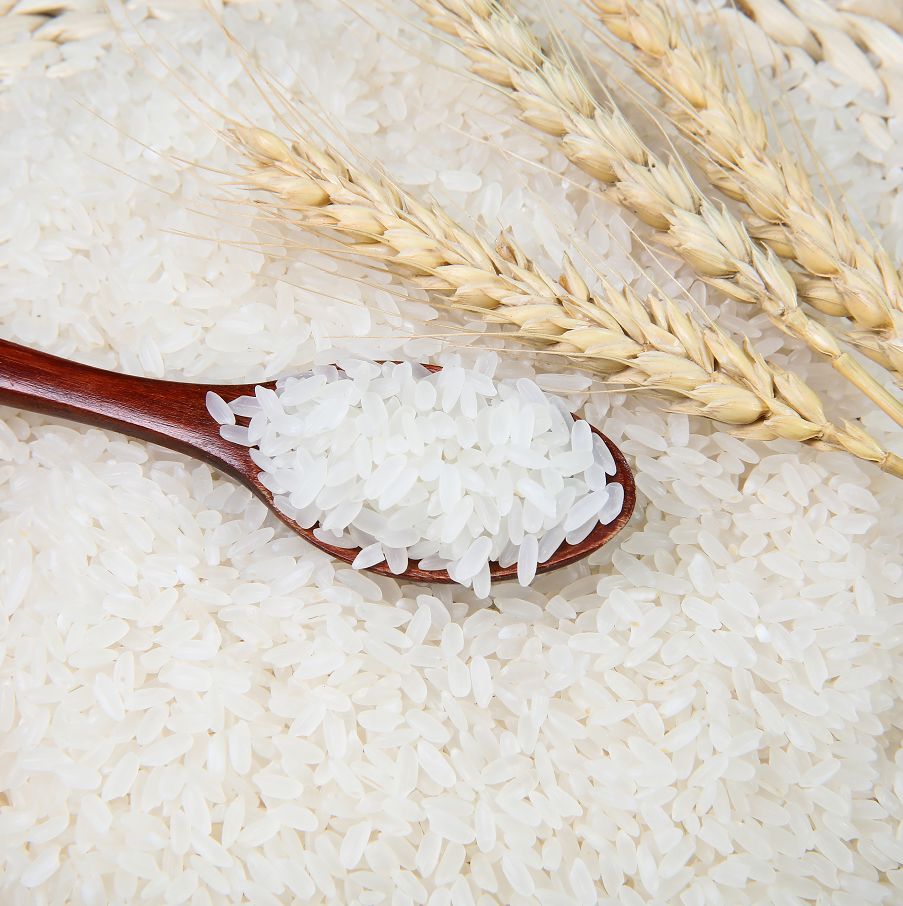 龍鴏玉珠大米【市场价】119元/袋【拼团价】79元/袋【特点】颗颗饱满