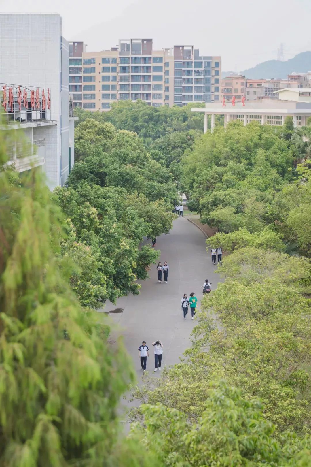 青春记忆崇雅实验学校