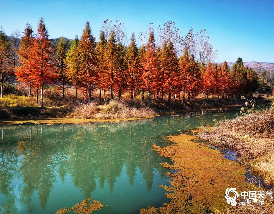 昆明网红地甸尾村迎"醉"美冬日 景色绚烂似油画