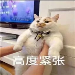 2020年河南各市人均_2020中国百强城市排行榜发布河南六城市上榜(2)