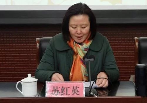 苏红英提出,意识形态工作是党的一项极端重要的工作,互联网是意识形态