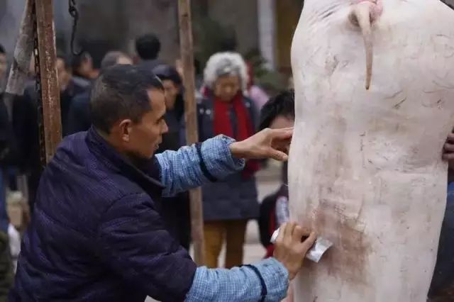 点击查看广安 "杀年猪" 全套程序,口水止不住的流._杀猪匠