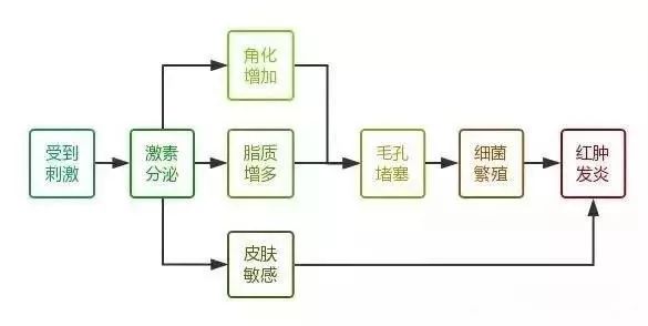 360°全面解析_痘痘