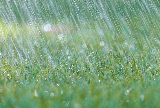 冬至到了农村老人说冬至宜雨不宜晴冬至下雨有啥说法吗