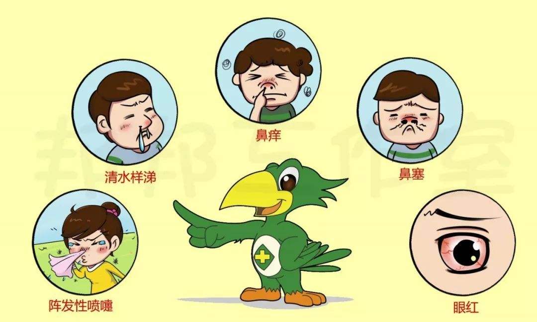 过敏性鼻炎传染吗 来自搜狐网