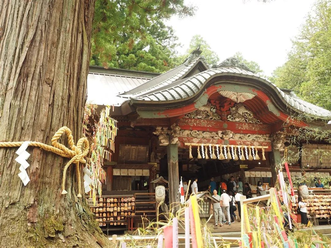 2019年日本最受歡迎的神社寺院