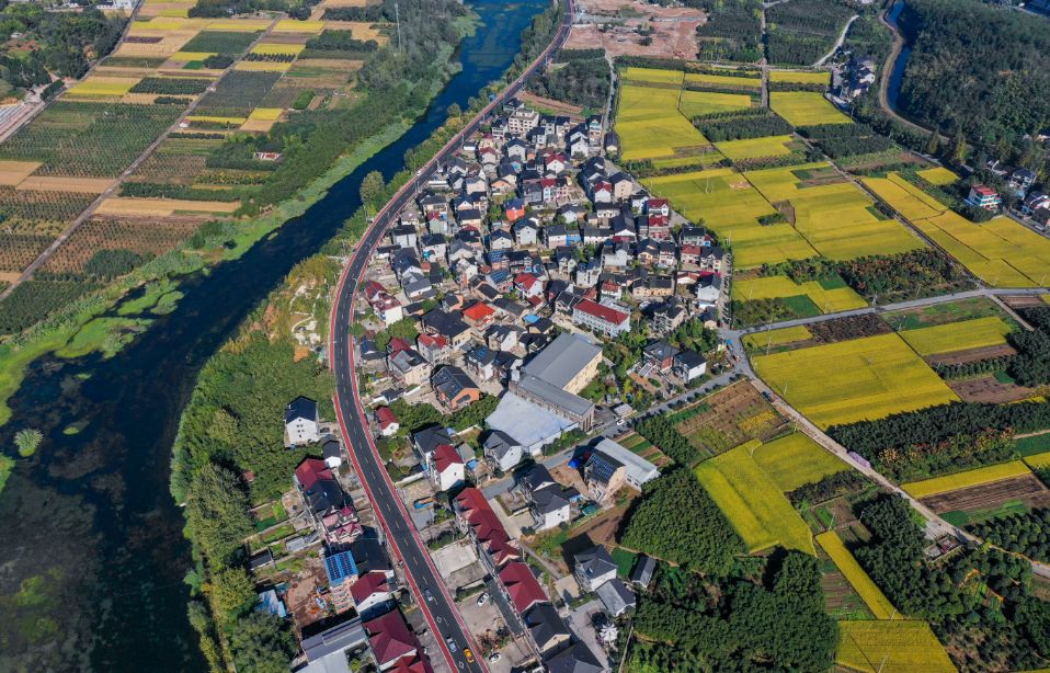 富陽區藥谷大道 羅曉鈞/攝四好農村路打通了鄉村振興出與進的