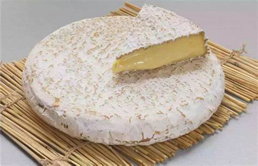 邂逅奶酪之王法国布里奶酪