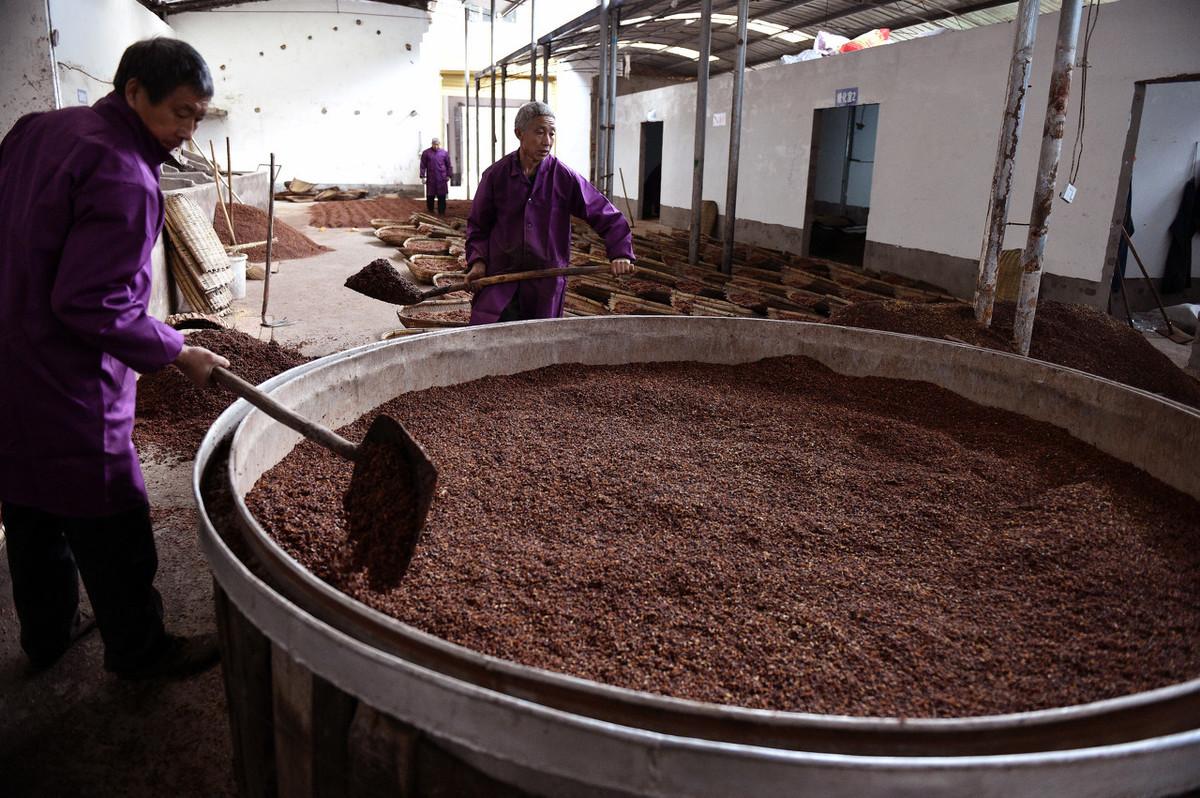 泡粮应该注意的问题不同酿酒工艺用高粱泡粮应该用什么方法